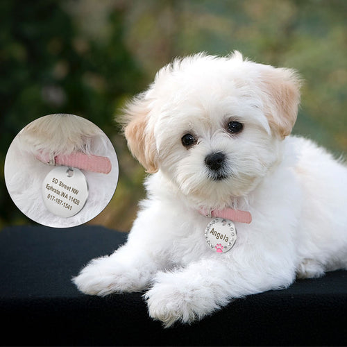 Dog ID Tag Customized Engraved Crystal Metal Pet