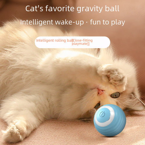 Bola Inteligente Giratória para Gatos