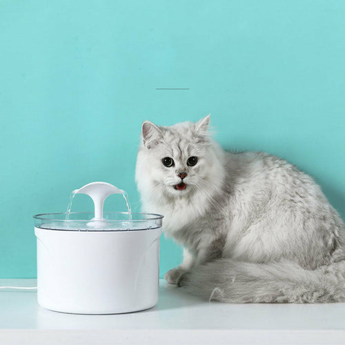 Bebedouro Elétrico Automático para Cães e Gatos